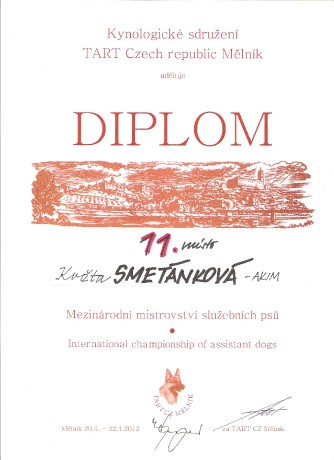 Diplom TART 2012 11. místo