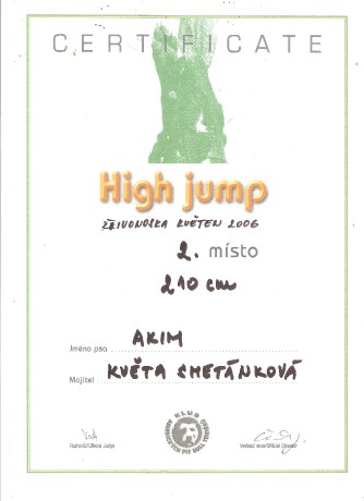 High jump 2006 2.místo